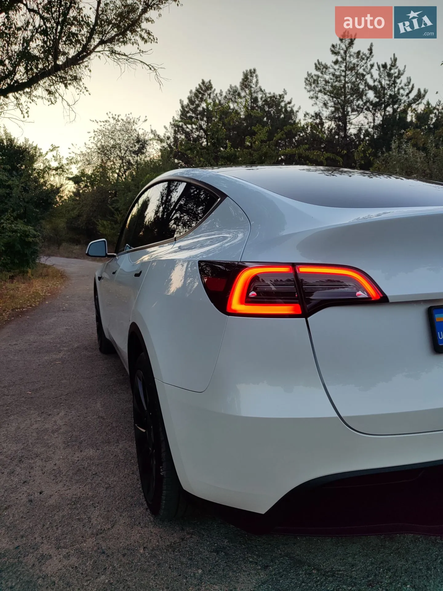 2023 Tesla Model Y - мініатюра 8