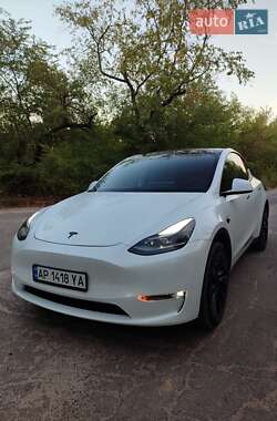 Внедорожник / Кроссовер Tesla Model Y 2023 в Запорожье