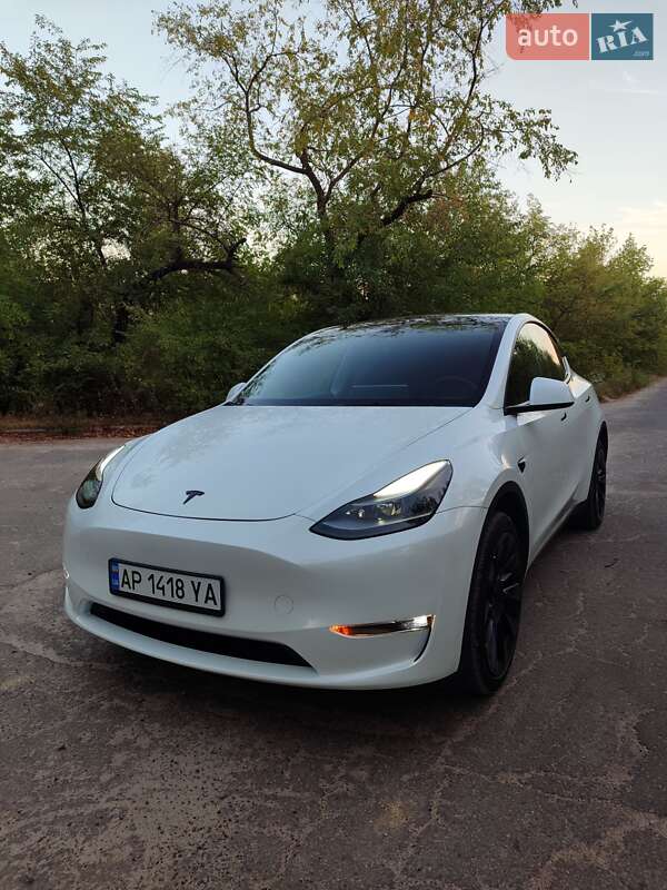 Внедорожник / Кроссовер Tesla Model Y 2023 в Запорожье
