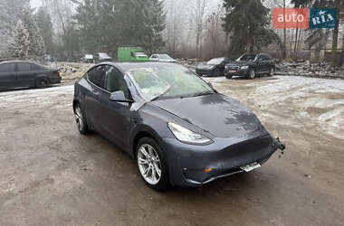 Позашляховик / Кросовер Tesla Model Y 2021 в Львові