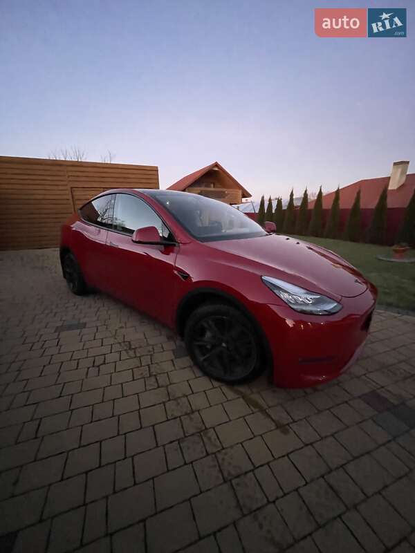 Внедорожник / Кроссовер Tesla Model Y 2021 в Львове