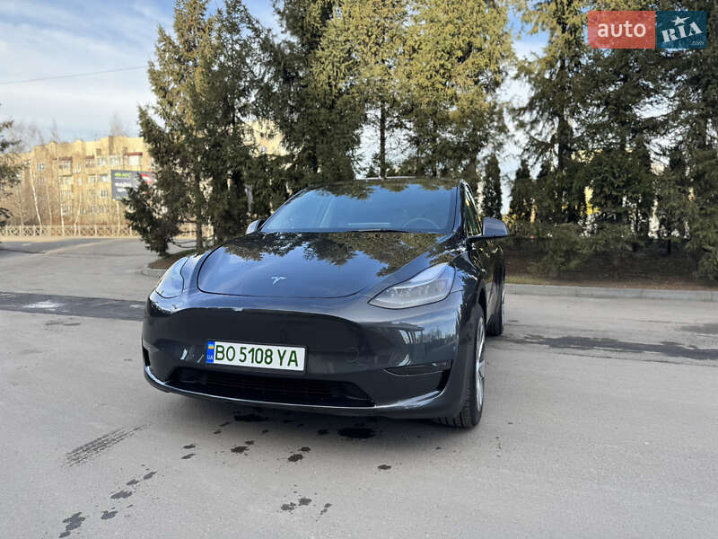 Внедорожник / Кроссовер Tesla Model Y 2024 в Тернополе