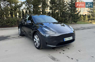 Внедорожник / Кроссовер Tesla Model Y 2024 в Тернополе