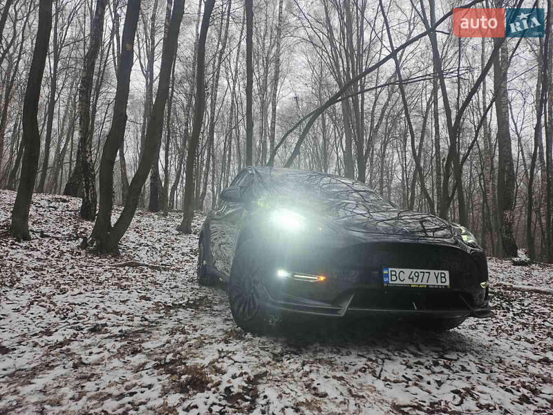 Внедорожник / Кроссовер Tesla Model Y 2020 в Львове