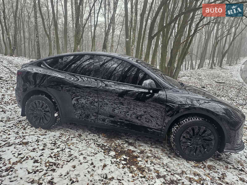 Внедорожник / Кроссовер Tesla Model Y 2020 в Львове