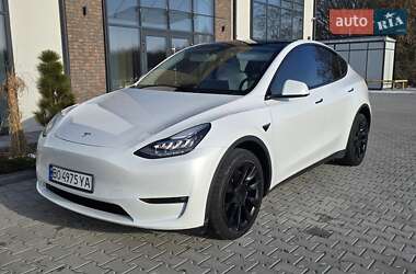 Позашляховик / Кросовер Tesla Model Y 2021 в Тернополі