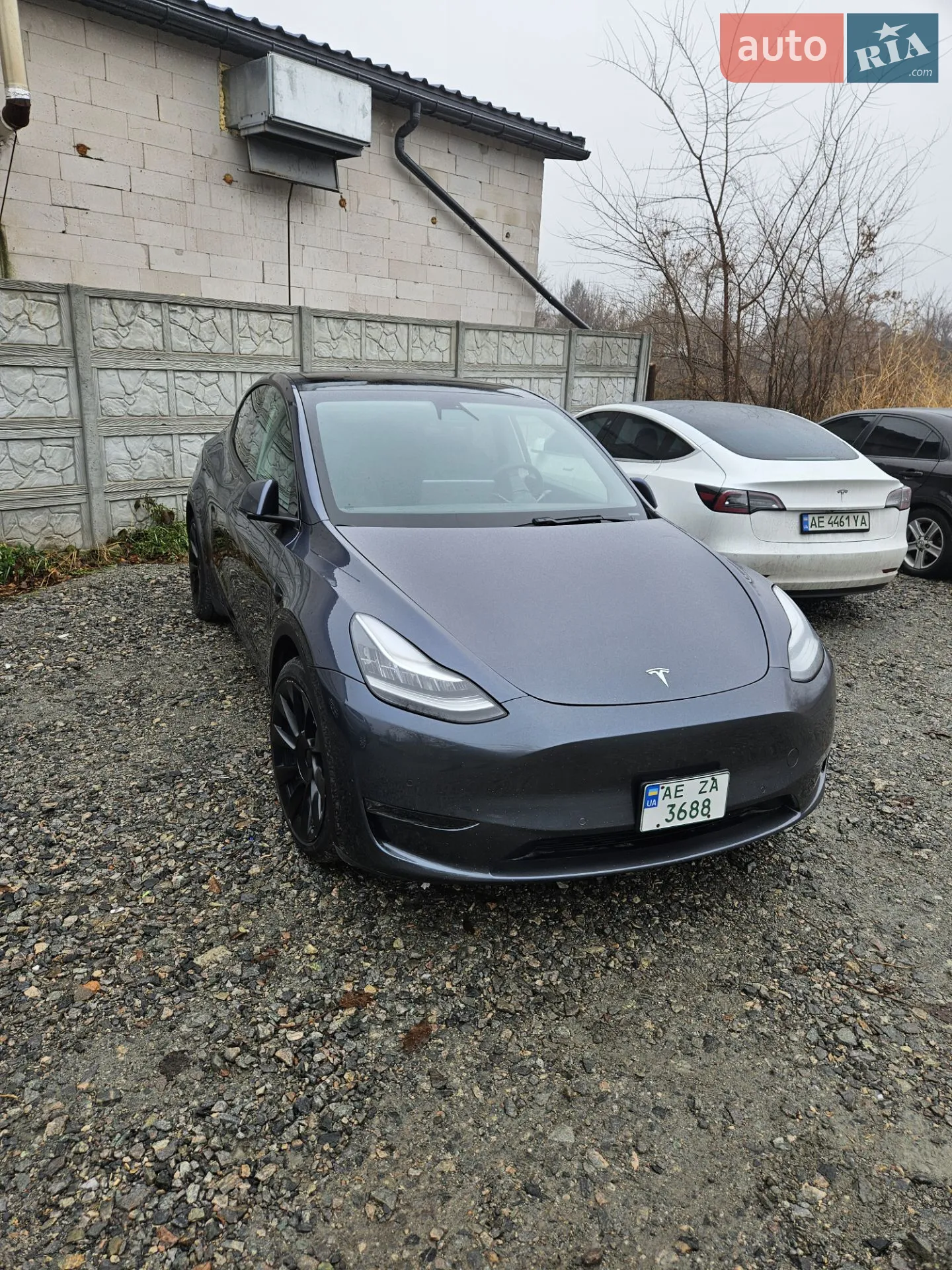 2020 Tesla Model Y - фото 1