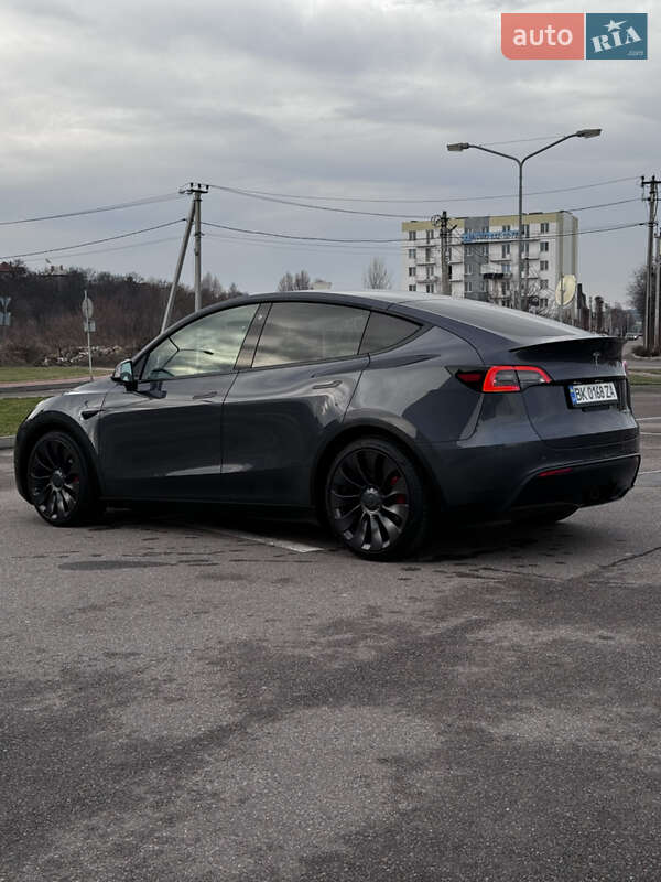 Позашляховик / Кросовер Tesla Model Y 2022 в Києві