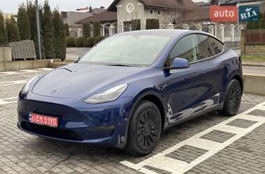 Позашляховик / Кросовер Tesla Model Y 2023 в Рівному