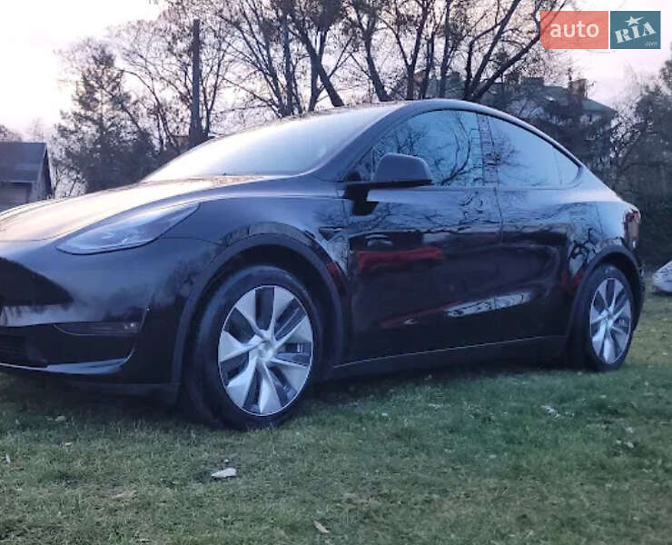 Внедорожник / Кроссовер Tesla Model Y 2023 в Чишках