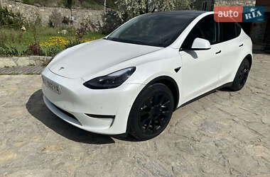 Внедорожник / Кроссовер Tesla Model Y 2021 в Каменец-Подольском