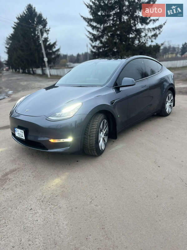 Внедорожник / Кроссовер Tesla Model Y 2022 в Житомире