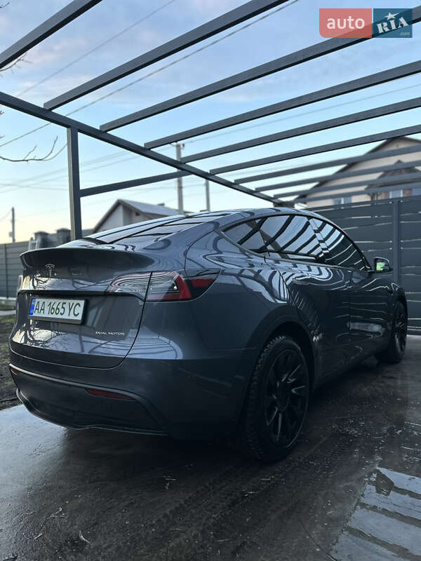 Позашляховик / Кросовер Tesla Model Y 2023 в Києві