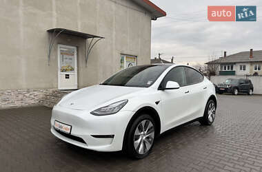 Внедорожник / Кроссовер Tesla Model Y 2023 в Луцке