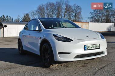 Позашляховик / Кросовер Tesla Model Y 2021 в 