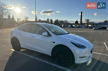 Внедорожник / Кроссовер Tesla Model Y 2022 в Житомире