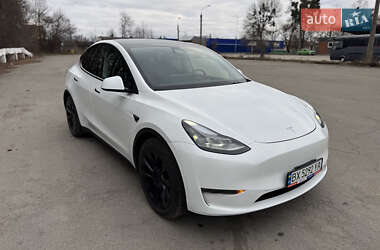 Позашляховик / Кросовер Tesla Model Y 2024 в Шепетівці