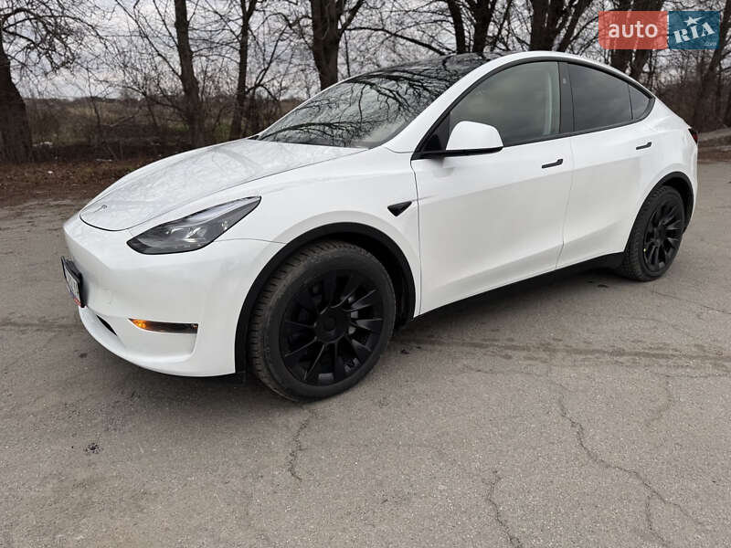 Позашляховик / Кросовер Tesla Model Y 2024 в Шепетівці