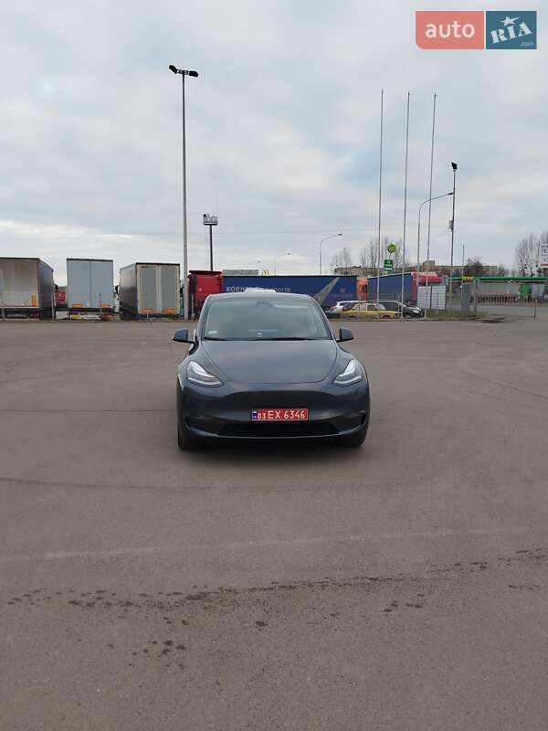 Внедорожник / Кроссовер Tesla Model Y 2022 в Любомле фото 14 Внедорожник / Кроссовер Tesla Model Y 2022 в Любомле