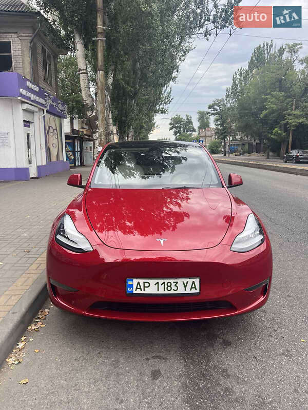 Позашляховик / Кросовер Tesla Model Y 2023 в Запоріжжі