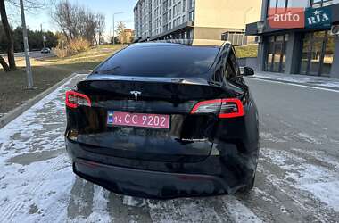 Внедорожник / Кроссовер Tesla Model Y 2021 в Львове