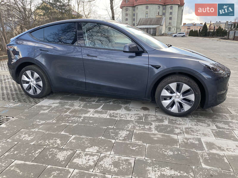 Внедорожник / Кроссовер Tesla Model Y 2023 в Самборе