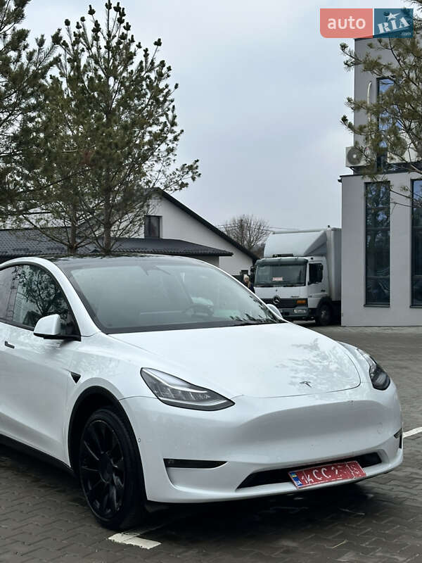 Внедорожник / Кроссовер Tesla Model Y 2021 в Ровно