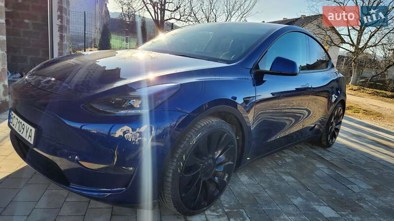 Позашляховик / Кросовер Tesla Model Y 2021 в Бориславі