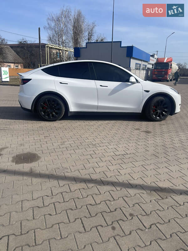 Внедорожник / Кроссовер Tesla Model Y 2022 в Житомире