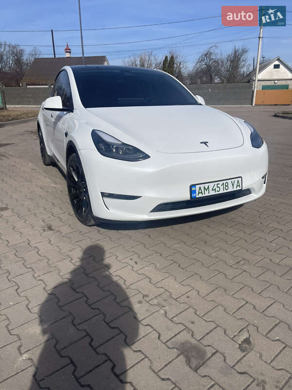 Внедорожник / Кроссовер Tesla Model Y 2022 в Житомире