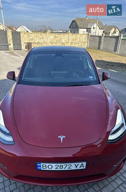 Внедорожник / Кроссовер Tesla Model Y 2023 в 