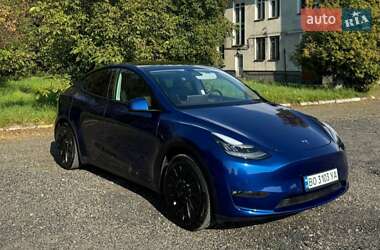 Позашляховик / Кросовер Tesla Model Y 2021 в Івано-Франківську