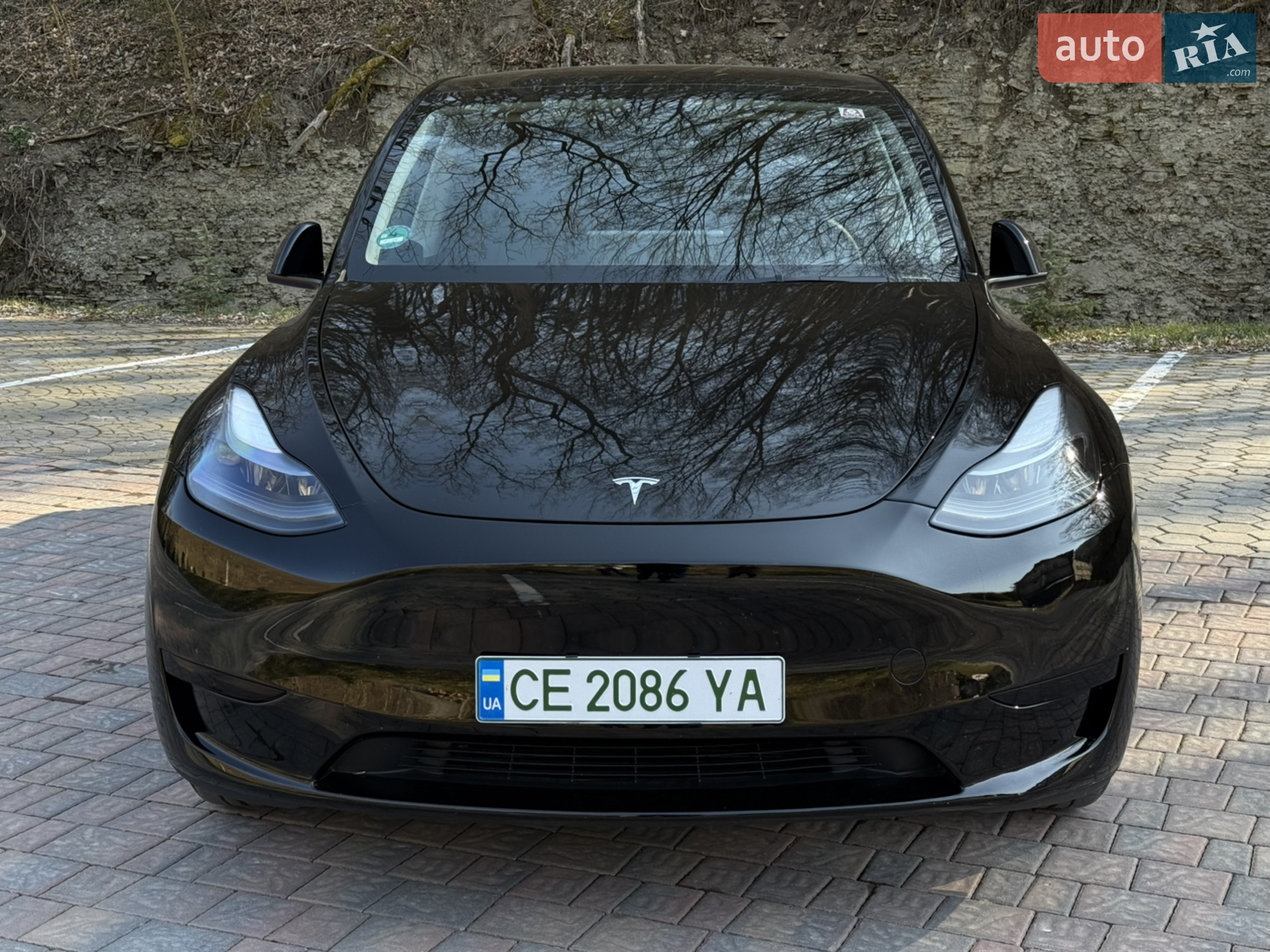 2023 Tesla Model Y - мініатюра 2