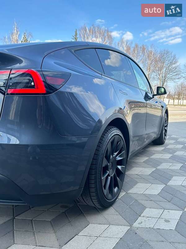 Внедорожник / Кроссовер Tesla Model Y 2023 в Белой Церкви