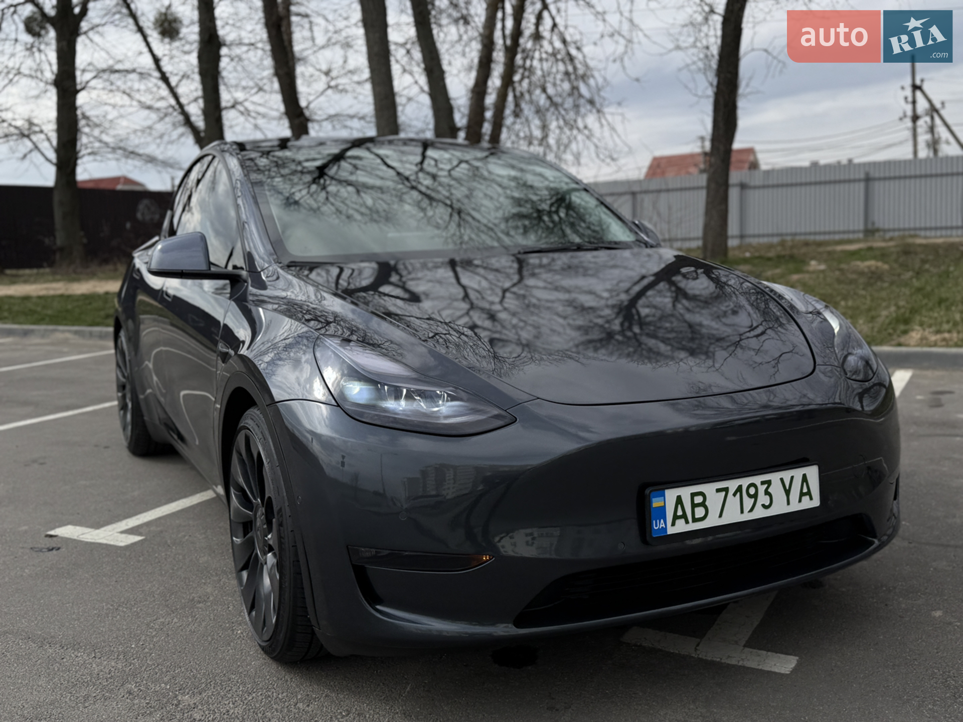2021 Tesla Model Y - фото 1