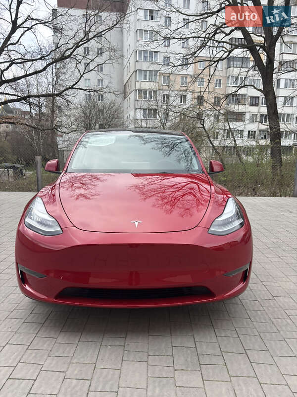 Внедорожник / Кроссовер Tesla Model Y 2023 в Збараже