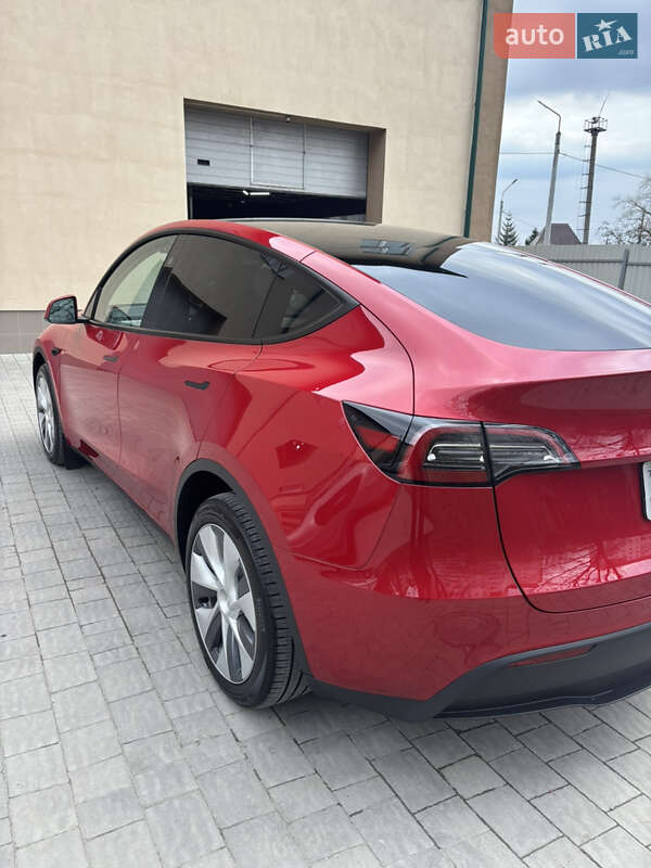 Внедорожник / Кроссовер Tesla Model Y 2023 в Збараже