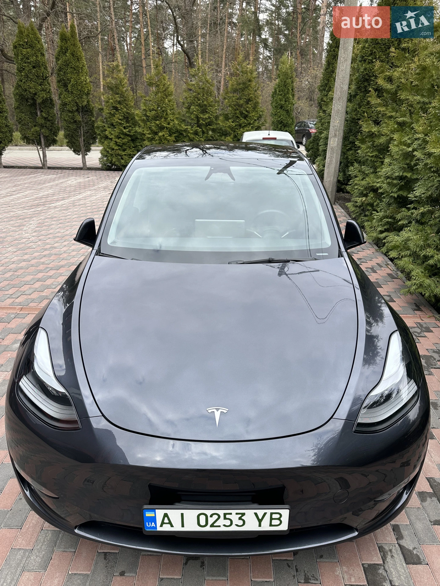 2024 Tesla Model Y - мініатюра 18