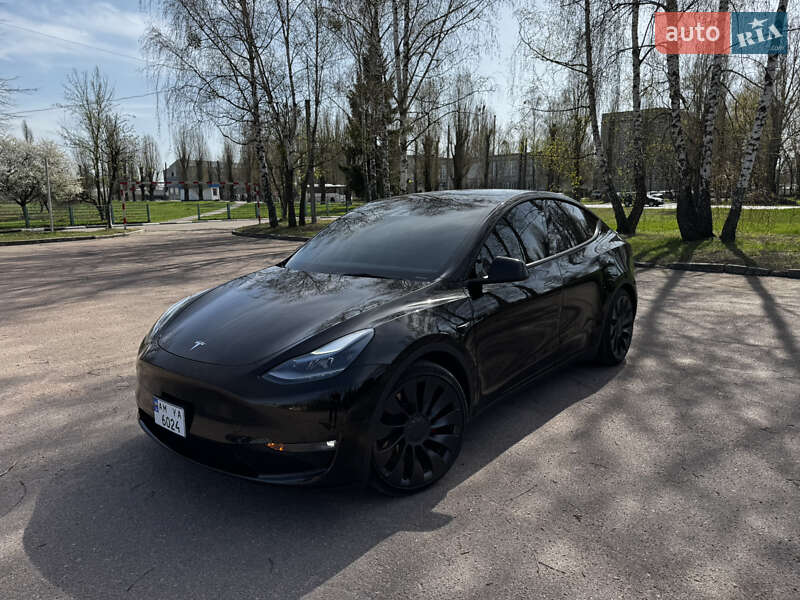 Позашляховик / Кросовер Tesla Model Y 2023 в Житомирі