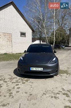 Внедорожник / Кроссовер Tesla Model Y 2023 в 
