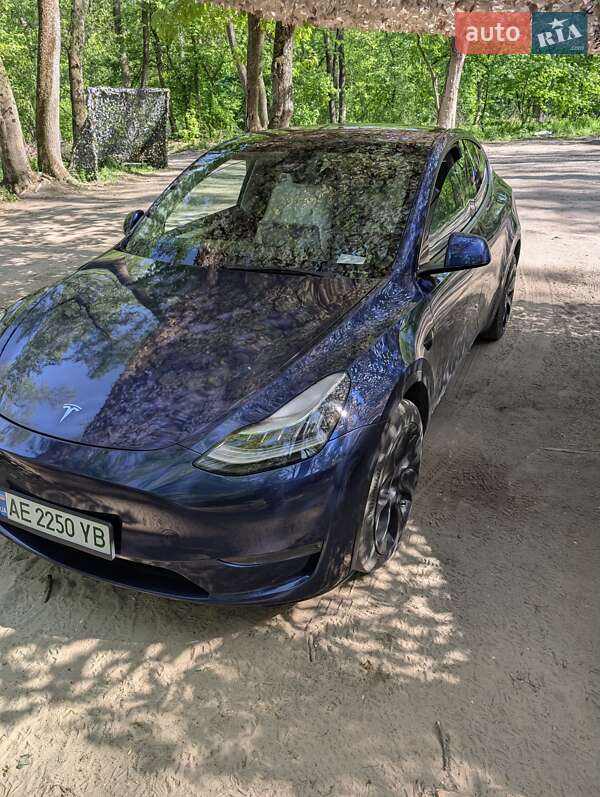Позашляховик / Кросовер Tesla Model Y 2023 в Дніпрі