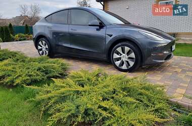 Внедорожник / Кроссовер Tesla Model Y 2023 в Новомосковске