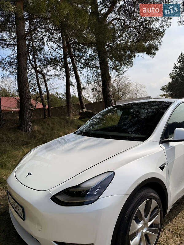 Позашляховик / Кросовер Tesla Model Y 2023 в Львові