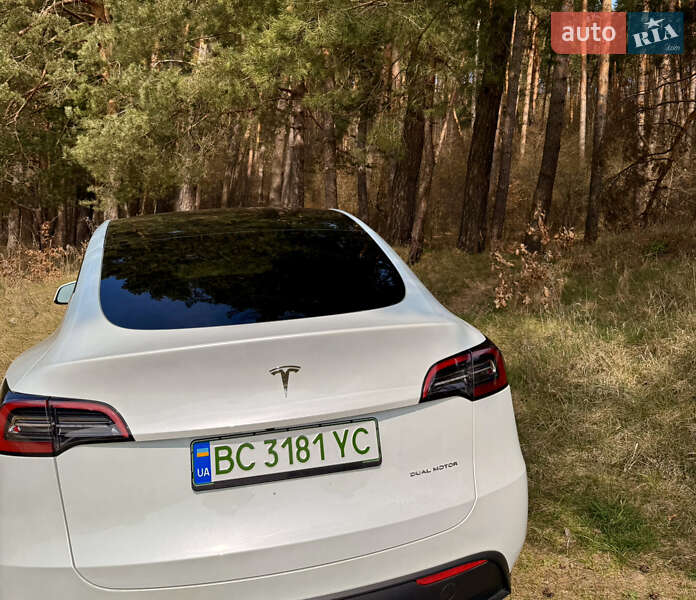 Позашляховик / Кросовер Tesla Model Y 2023 в Львові