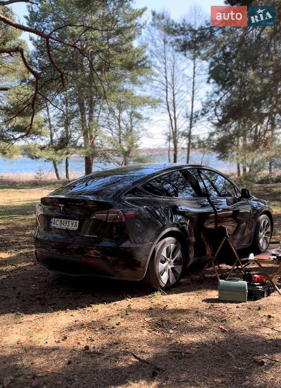 Внедорожник / Кроссовер Tesla Model Y 2022 в Ратным