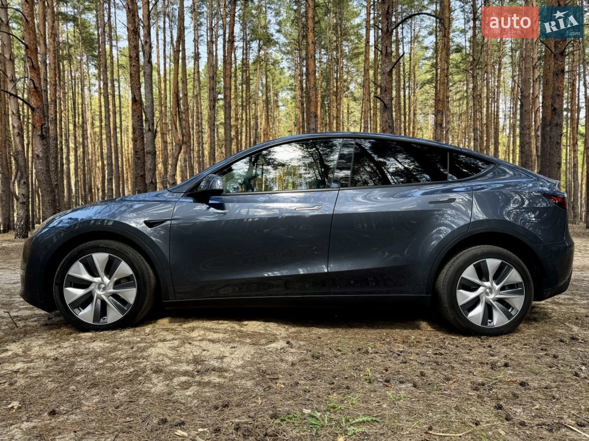 2023 Tesla Model Y - фото 1