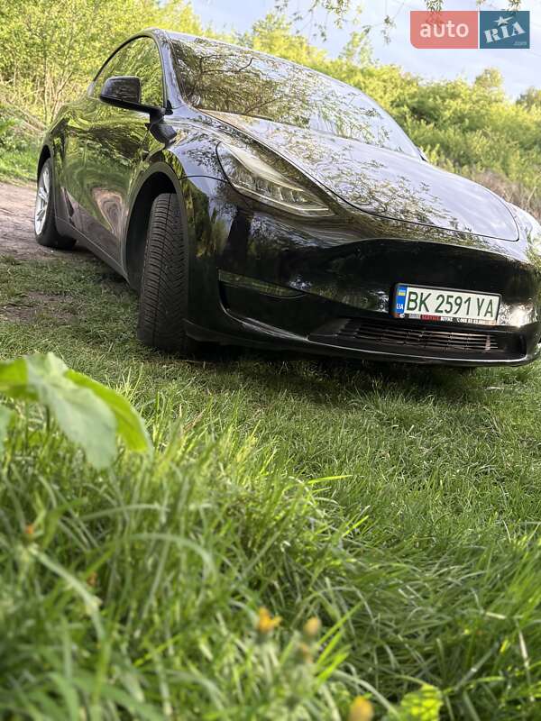 Внедорожник / Кроссовер Tesla Model Y 2020 в Ровно