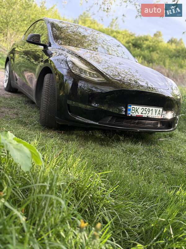 Внедорожник / Кроссовер Tesla Model Y 2020 в Ровно