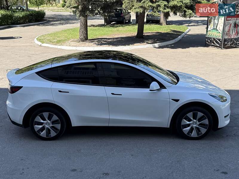 Позашляховик / Кросовер Tesla Model Y 2021 в Кам'янському
