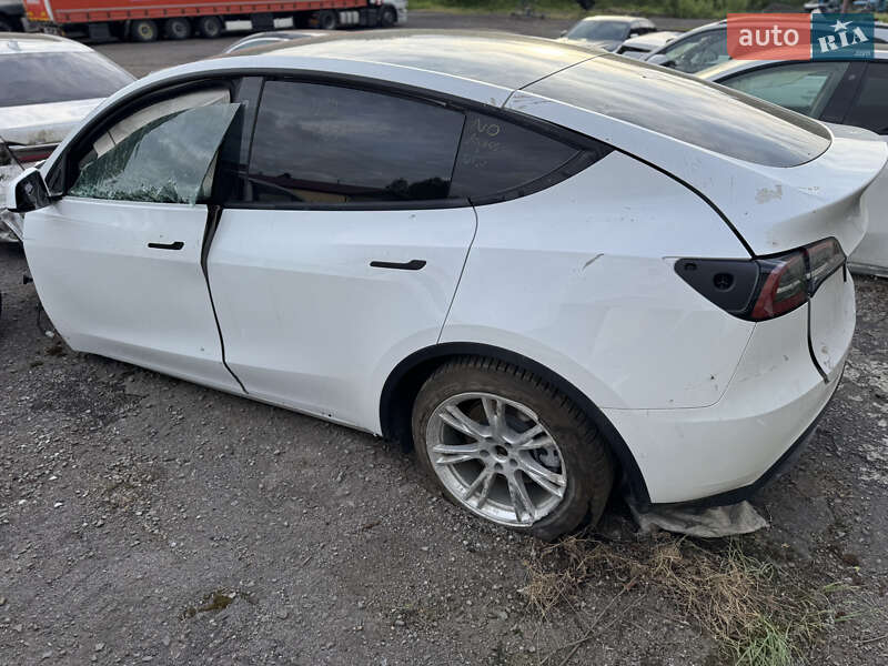 Внедорожник / Кроссовер Tesla Model Y 2021 в Ужгороде